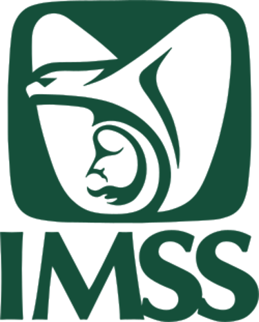Bolsa Trabajo IMSS logo