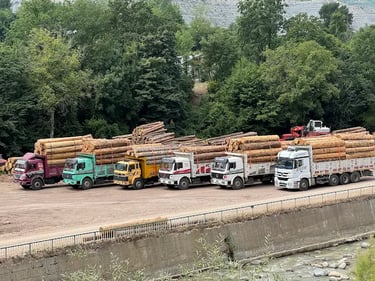 Karanlıkmeşe Kerestecilik - Artvin Ardanuç uygun fiyatlı kaliteli kereste ve lambiri çeşitleri