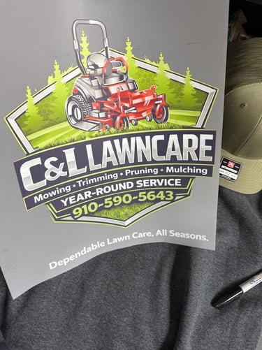 Vector conversion for DTF transfers