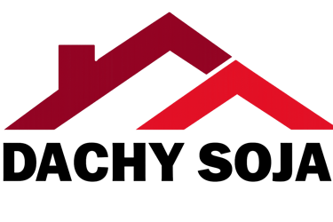 Dachy Soja logo
