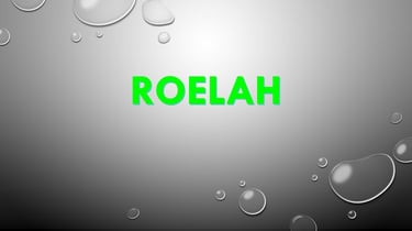 roelah liquidation logo