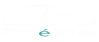 PrivéBirds logo