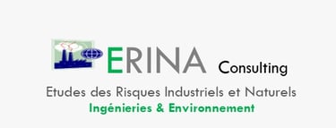 Erina Consulting logo