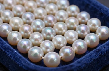 A collection of loose, high-luster white Akoya pearls arranged neatly on a steel blue velvet tray.
