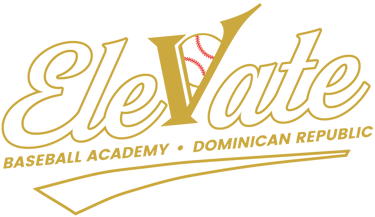 Elevate Baseball Academy logo