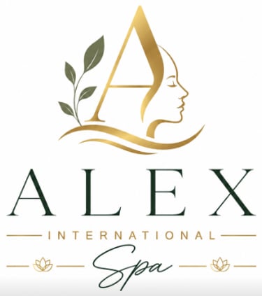 Alex International Spa logo