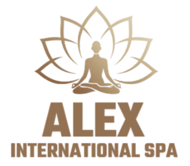 Alex International Spa logo