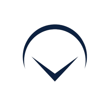 ViceVault Group logo