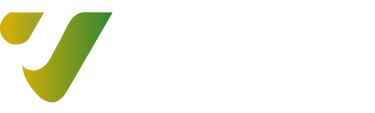 Vigo Gas and Cryogenics logo