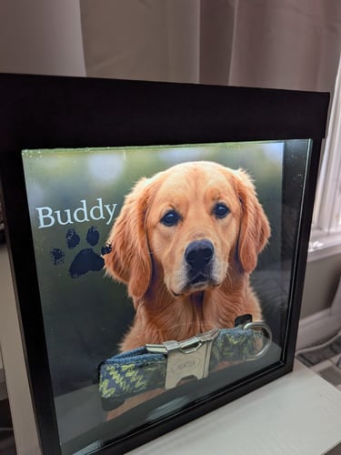 Personalized pet memorial shadow box featuring a Golden Retriever photo and dog collar.