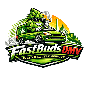 Fastbudsdmv logo
