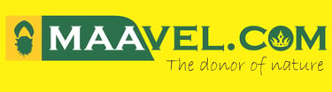 Maavel Partners logo