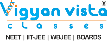 Vigyan vista classes logo
