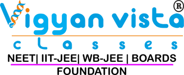 Vigyan vista classes logo