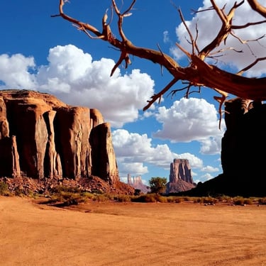 Iconic scenes we photographed along Monument Valley's famed  17-mile loop 