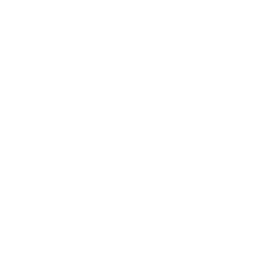Burgerica logo