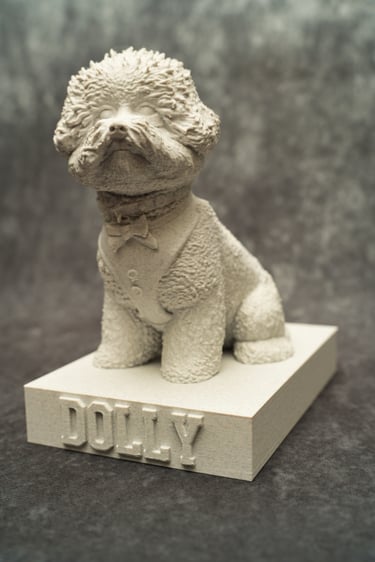 A photograph of the finished 3-D print model of Dolly a bichon frise