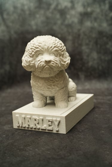 A photograph of the finished 3-D print model of Marley a bichon frise
