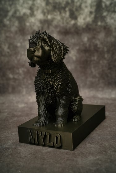 A photograph of the finished 3-D model printed of Mylo a black cockatoo