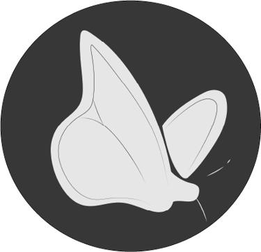 Logo noir et blanc d'un papillon de l'entreprise Julid'y Illustration 