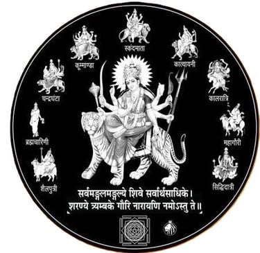 NAV DURGA METALS logo