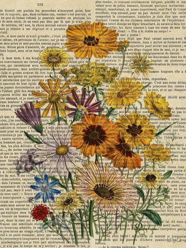 Fiorisce su pagine già scritte