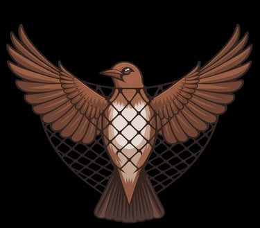 COME FAST ANTI BIRD NETDEALERS IN PATNA logo