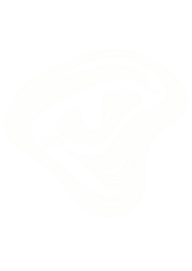 EYEDENTITY logo