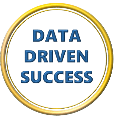 Data Driven Success logo