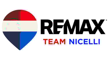 TEAM NICELLI logo