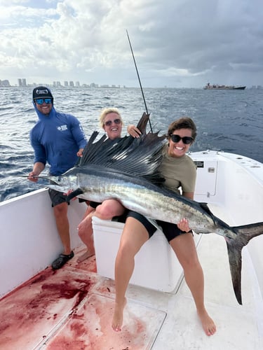Sailfish caught in Fort Lauderdale, Florida on a charter fishing boat