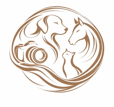 Montreal pet photographer