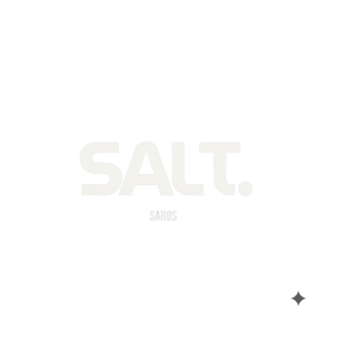 SALT. logo
