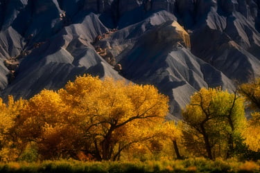 fremont-fall
