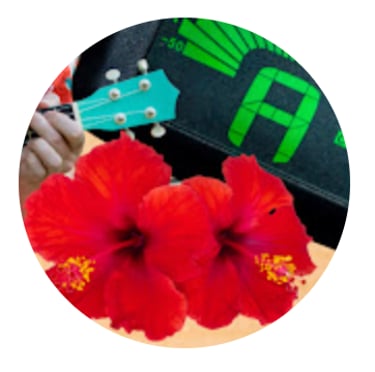 online banjo tuner logo