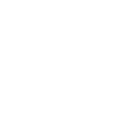 Crow Bodywork logo