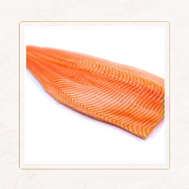 Salmón King de alta calidad para gastronomía profesional disponibles en León Guanajuato