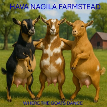 Hava Nagila Farmstead logo