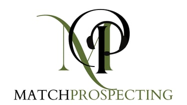 MatchProspecting logo