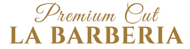 BarbaViva logo
