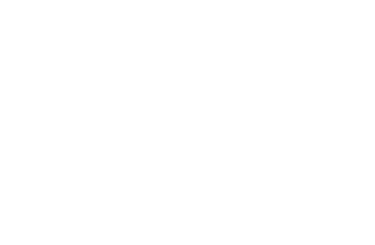 NEXT LEVEL GARAGE logo