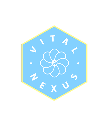 Vital Nexus: Moving for Wellbeing, Empowerment and Joy logo