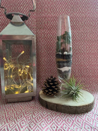 black craft by ck plant terrariums open terrarium sand plant sustainable nature hand crafted  glass jar crystals independent 