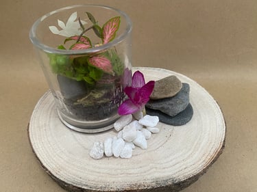 black craft by ck plant terrariums open terrarium sand plant sustainable nature hand crafted  glass jar crystals independent 