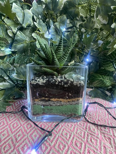 black craft by ck plant terrariums open terrarium sand plant sustainable nature hand crafted  glass jar crystals independent 