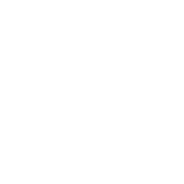 Soulkoukis, Zisimos violinist artist musician producer music teacher showman music performance, concerts logo