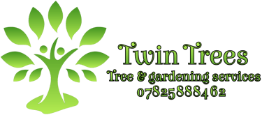 Twin Trees logo