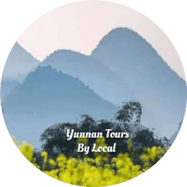 Yunnan Tours By Local logo