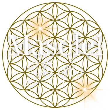 Masolei Studio logo