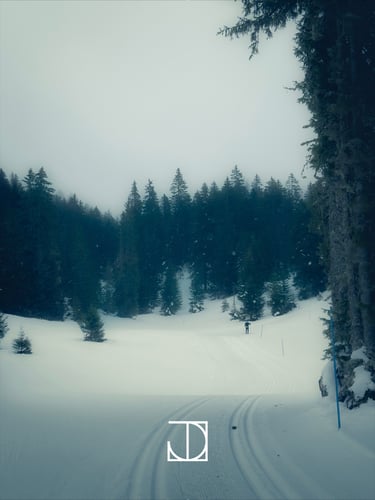 photo paysage neige ski nuage forêt